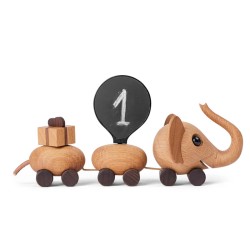 Fødselsdagstog Spring copenhagen med elefant