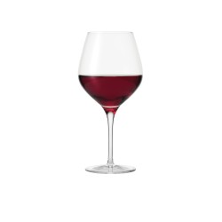 Aida Passion Connoisseur vinglas til lysere rødvine 2 stk