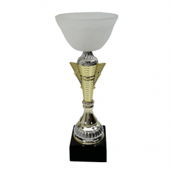 Guld pokal Aurora