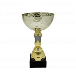 Pokal guld Olympic