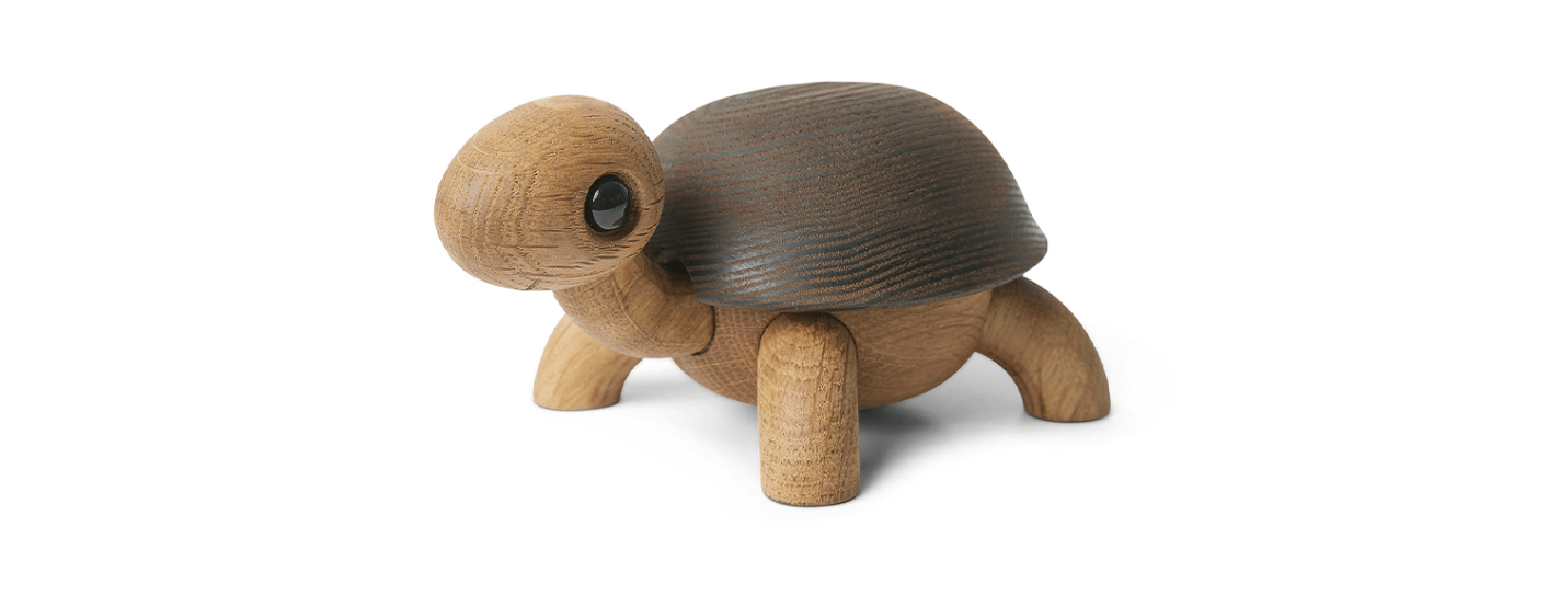 Skildpadde